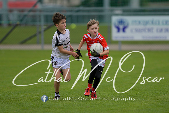 Castledawson U9 Tournament (223 of 250)