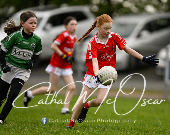 Lissan GO Games (45 of 105)