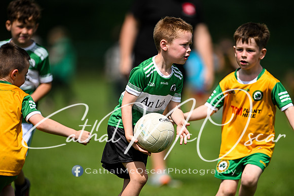 Derry Masters v Cavan (104 of 212)