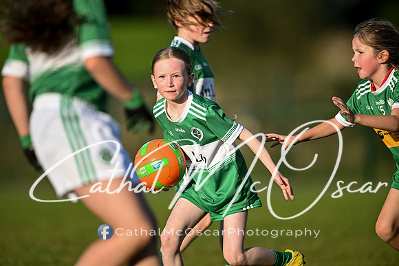 Ballymaguigan v Loup-16