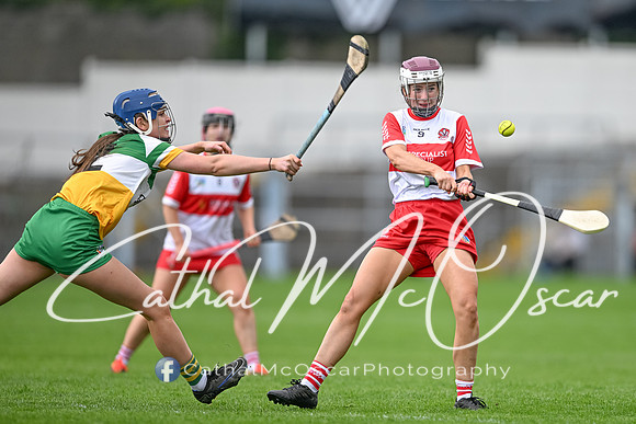 Derry v Offaly (77 of 148)