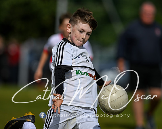U11 Desertmartin Tournament (51 of 87)