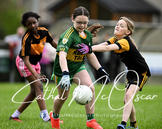 Lissan GO Games (5 of 105)