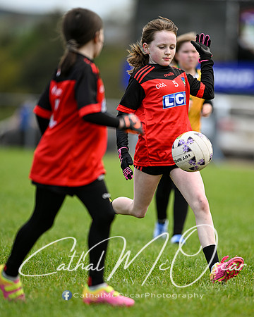 Lissan GO Games (77 of 105)