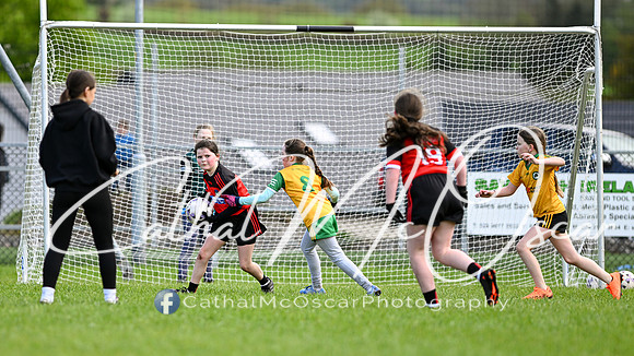 Lissan GO Games (88 of 105)