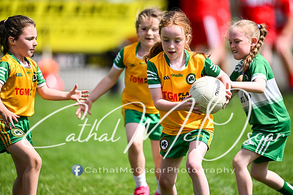 Derry Masters v Cavan (125 of 212)