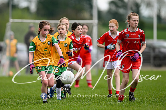 Lissan GO Games (52 of 105)