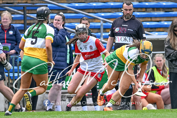 Derry v Offaly (131 of 148)