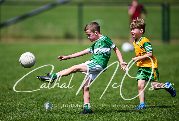 Derry Masters v Cavan (128 of 212)