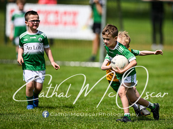 Derry Masters v Cavan (107 of 212)