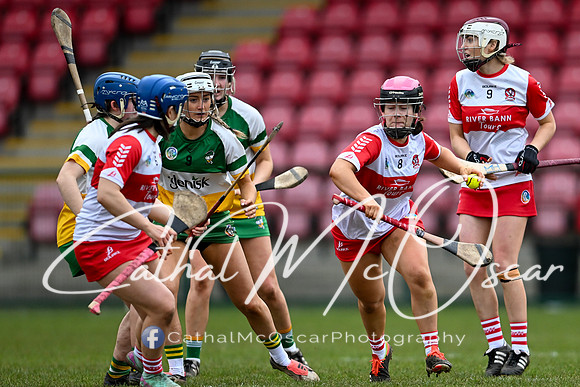 Derry v Offaly (5 of 142)