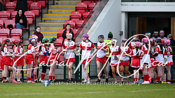Derry v Offaly (76 of 142)