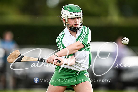 Castledawson v Loup (42 of 101)