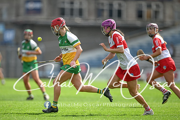 Derry v Offaly (56 of 148)