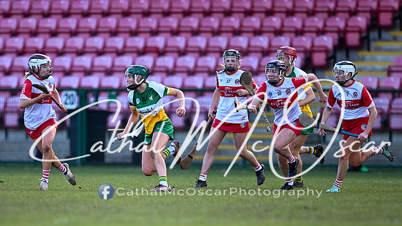 Derry v Offaly (116 of 142)