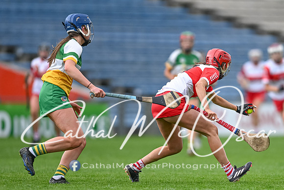 Derry v Offaly (86 of 148)