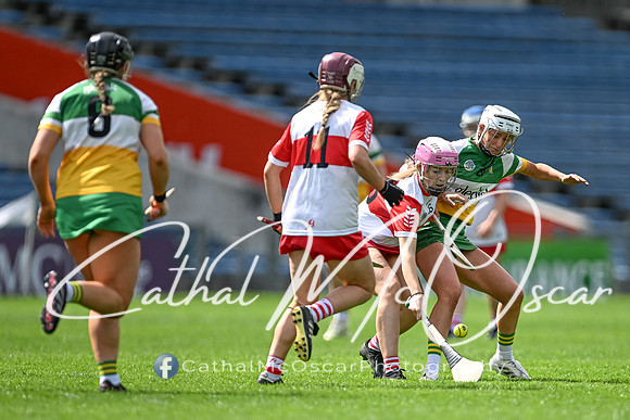 Derry v Offaly (118 of 148)