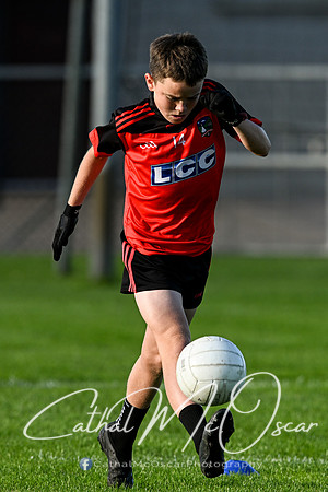 Lissan v St Patricks-16