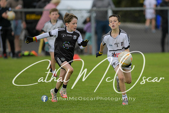 Castledawson U9 Tournament (175 of 250)