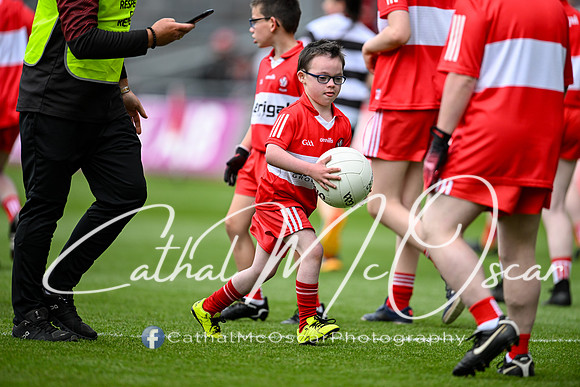 Derry v Cork (127 of 278)