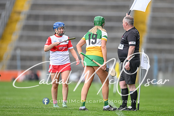 Derry v Offaly (94 of 148)