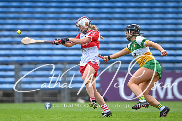 Derry v Offaly (128 of 148)