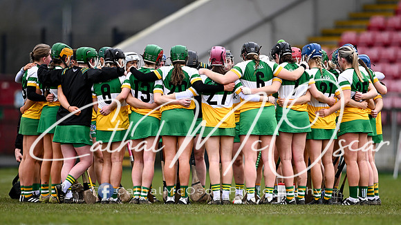 Derry v Offaly (3 of 142)