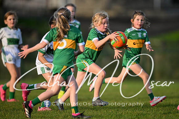 Ballymaguigan v Loup-35