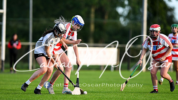 Castledawson v Ballerin-52