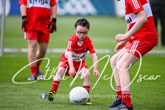 Derry v Cork (113 of 278)