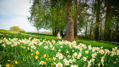 Bronagh and Ciaran (507 of 65)