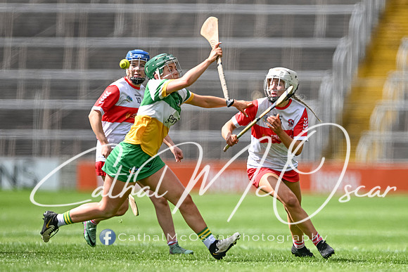 Derry v Offaly (114 of 148)