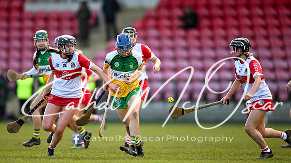 Derry v Offaly (133 of 142)