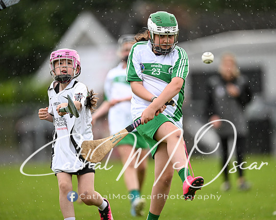 Castledawson v Loup (5 of 101)