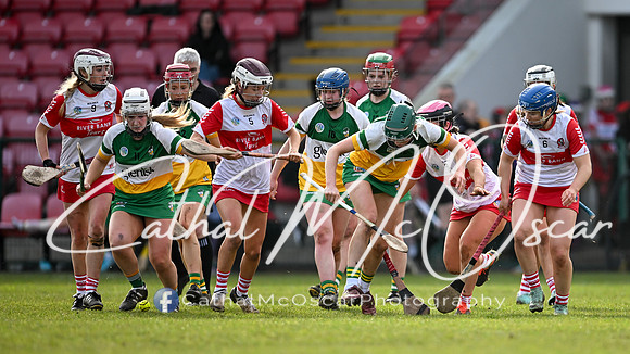 Derry v Offaly (49 of 142)