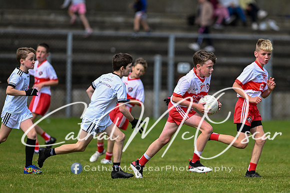 U11 Desertmartin Tournament (75 of 87)