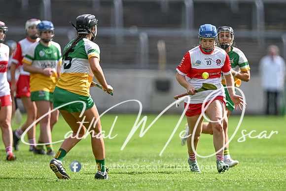 Derry v Offaly (48 of 148)