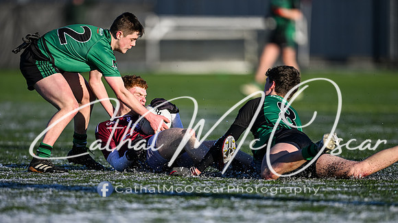St Pius v Loreto Milford (26 of 122)