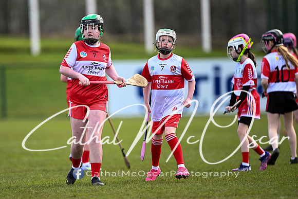 Derry v Offaly (56 of 142)