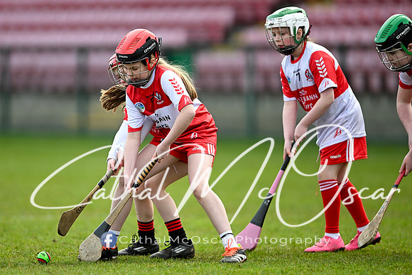 Derry v Offaly (59 of 142)