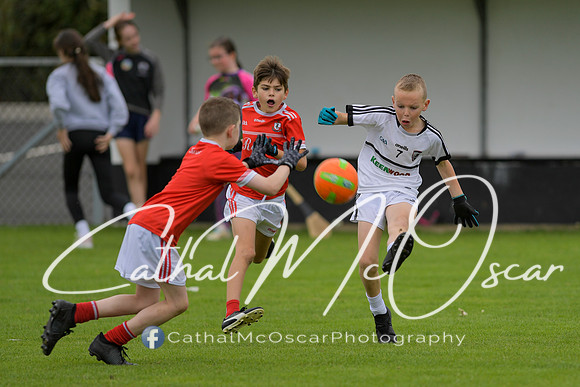 Castledawson U9 Tournament (216 of 250)