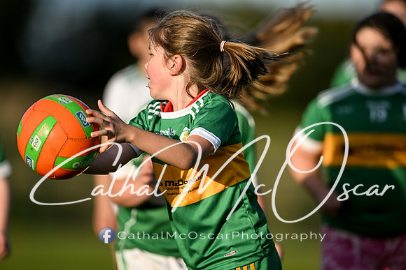 Ballymaguigan v Loup-29