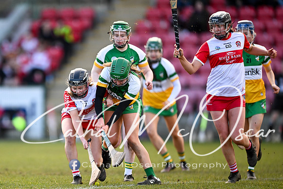 Derry v Offaly (130 of 142)