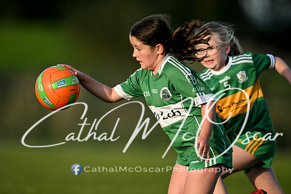 Ballymaguigan v Loup-33