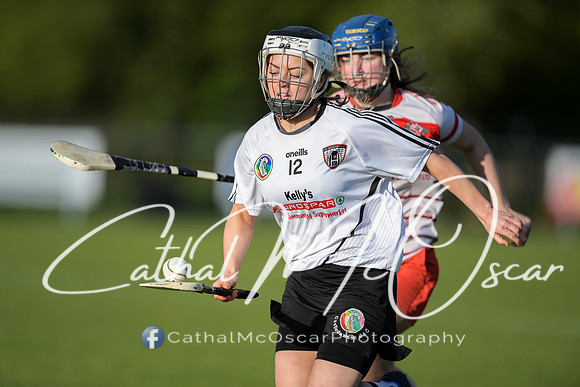 Castledawson v Kilrea (4 of 84)