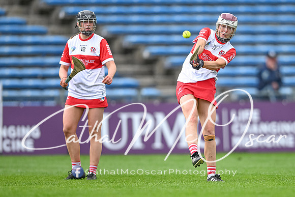 Derry v Offaly (81 of 148)
