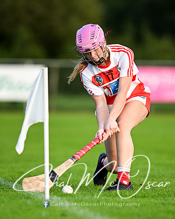 Castledawson v Ballerin-33