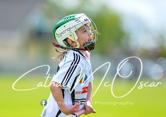 CD v Newbridge (20 of 111)