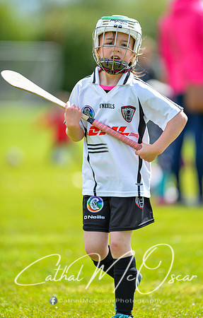 CD v Newbridge (21 of 111)