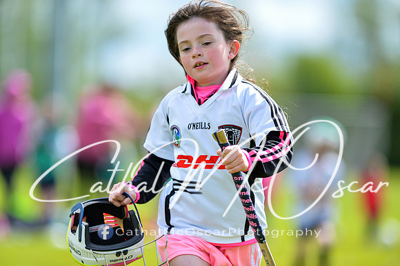 CD v Newbridge (19 of 111)